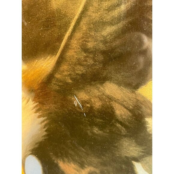 Vintage Patriotic American Flag and Bald Eagle Print Decoupage Wood Hanging Art - Picture 5 of 12